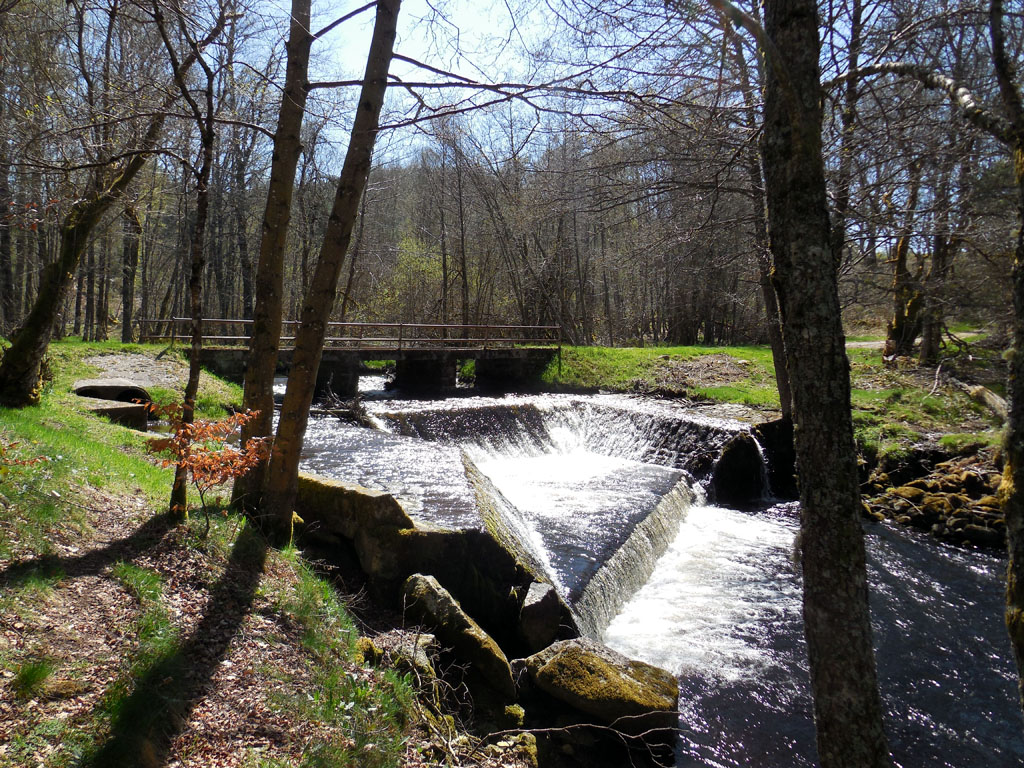 VTT - Gravel - Circuit découverte - 27 km - circuit 43, Peyrelevade - photo 8
