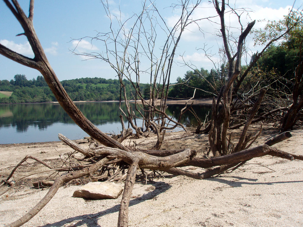 VTT - Gravel - Circuit découverte - 27 km - circuit 43, Peyrelevade