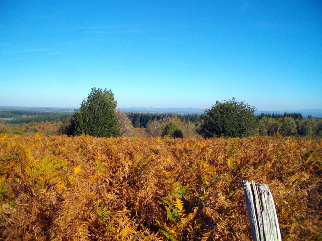 VTT - Gravel - Sur le plateau des Agriers - 17 km - circuit 63, Lamazière-Haute