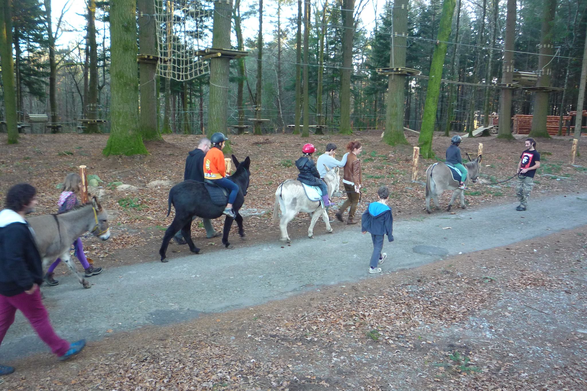 Balades à dos d'âne de la Ferme de Bitarelle - photo 2