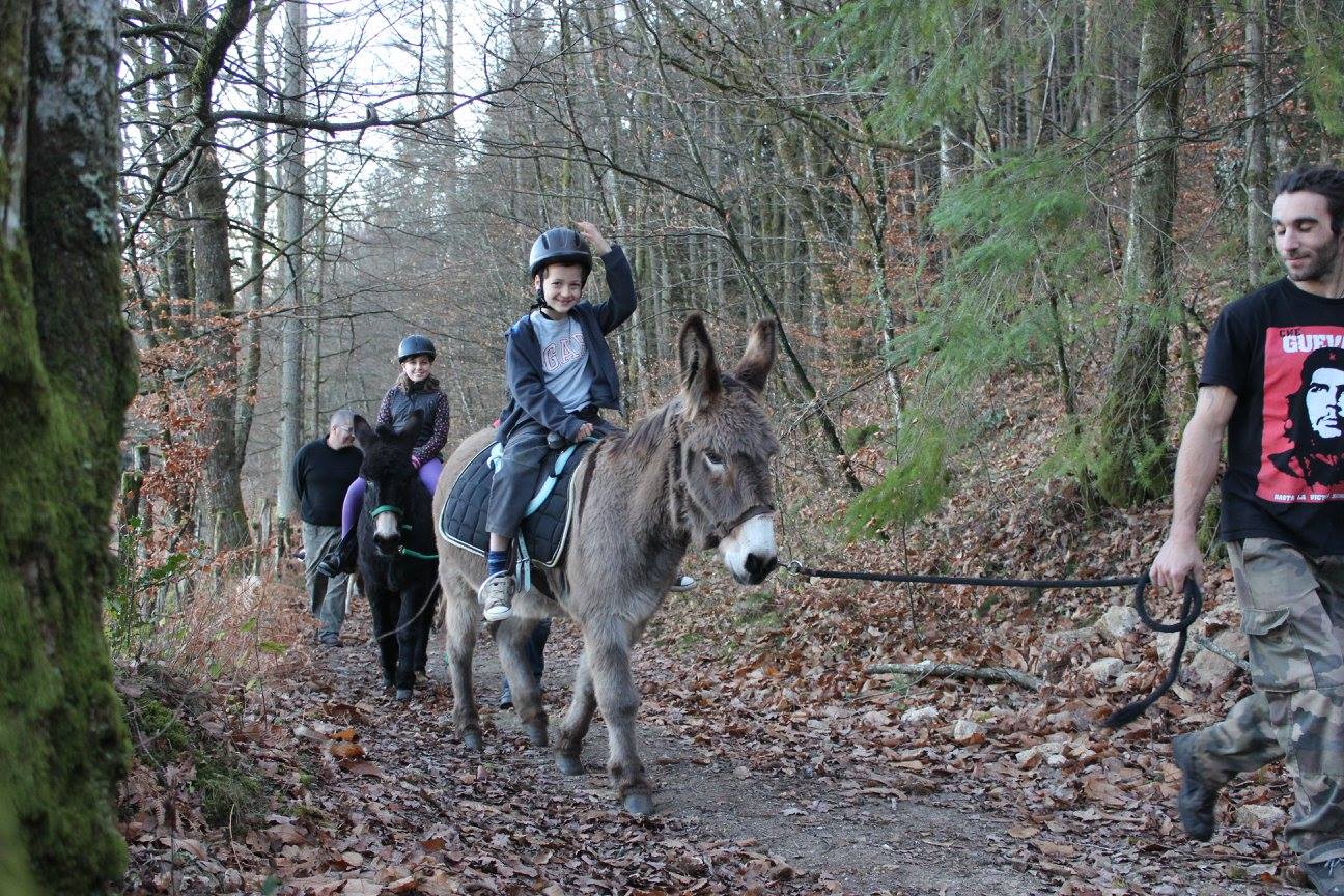 Balades à dos d'âne de la Ferme de Bitarelle - photo 3