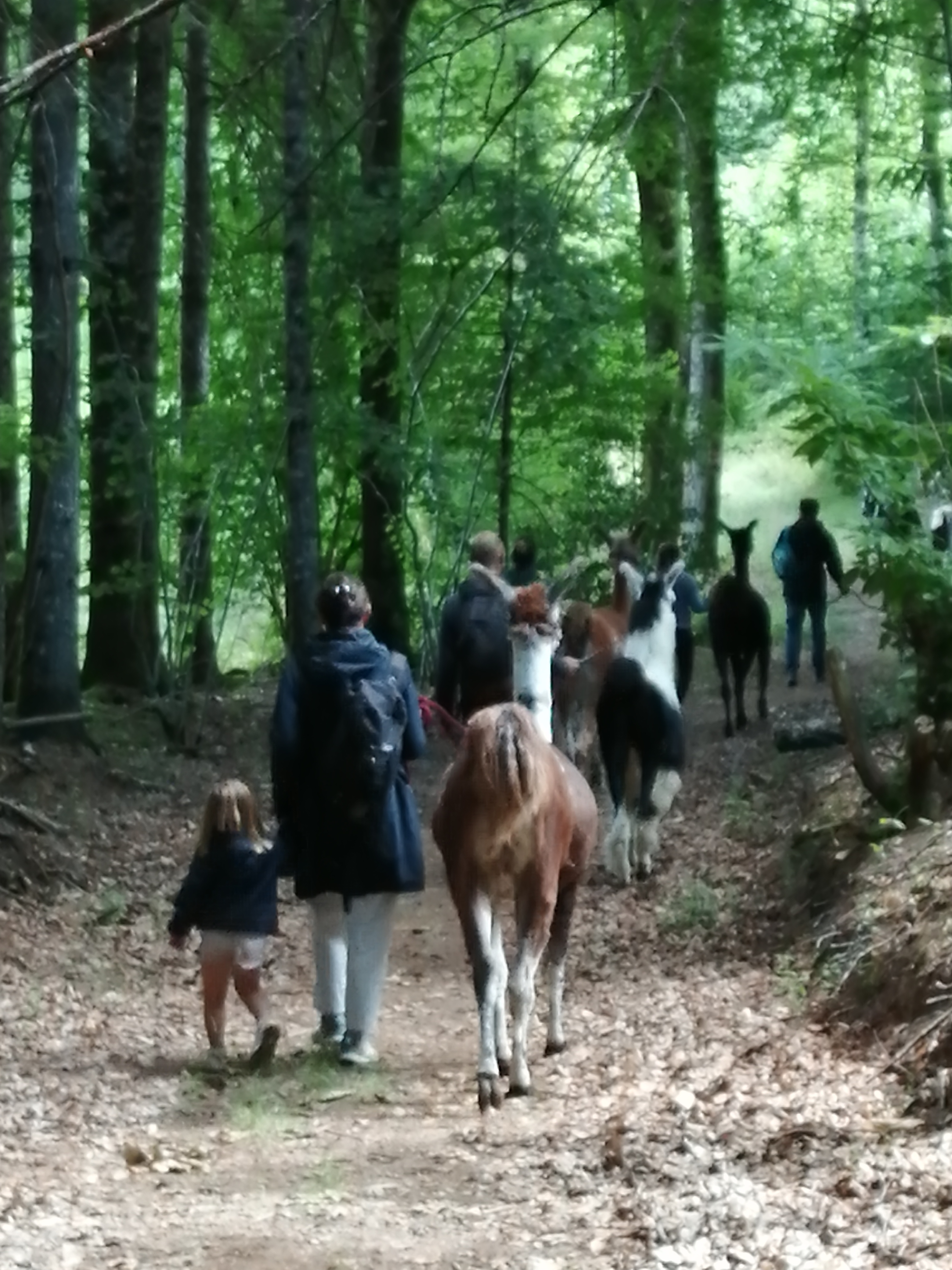Ferme de Lama'ziere, Lamazière-Basse - photo 3