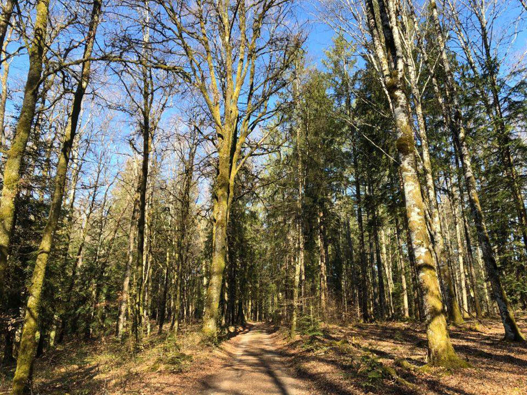 Le circuit des moulins, Latronche - photo 4