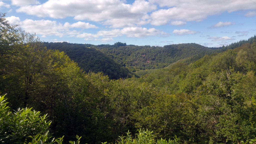 Sentier des charbonniers, Saint-Pantaléon-de-Lapleau - photo 3