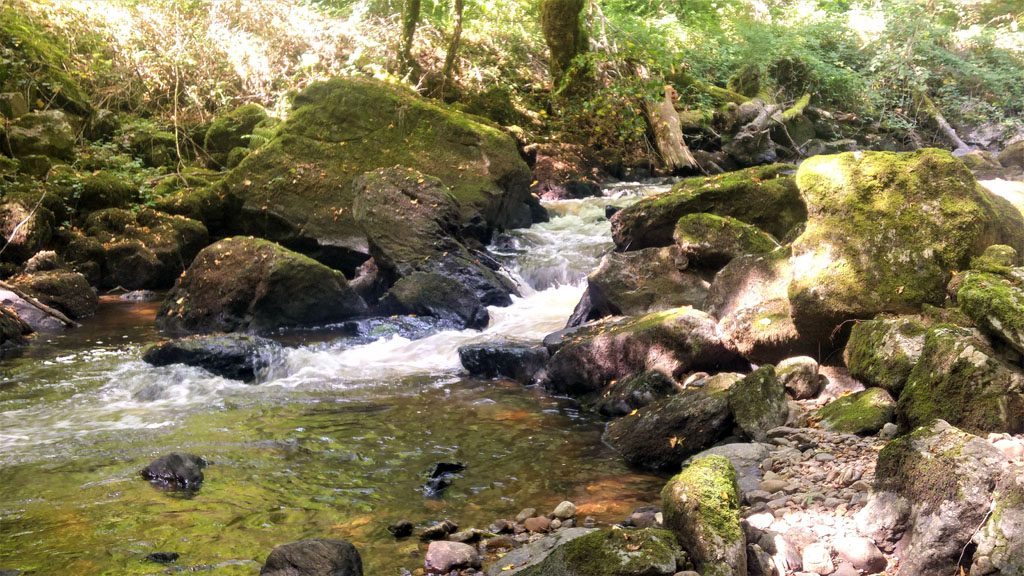 Sentier des charbonniers, Saint-Pantaléon-de-Lapleau