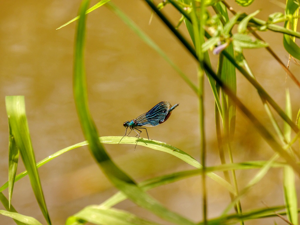 La vallée du Brézou - photo 2