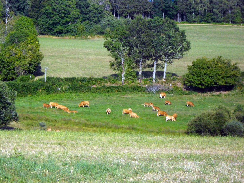 Eau, toi tombée du ciel, Saint-Fréjoux - photo 4