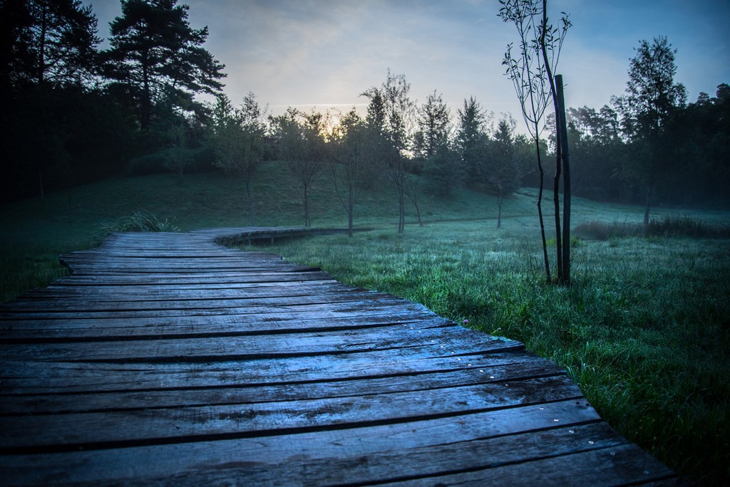 Circuit cyclo sportif Xaintrie Blanche, Servières-le-Château - photo 2