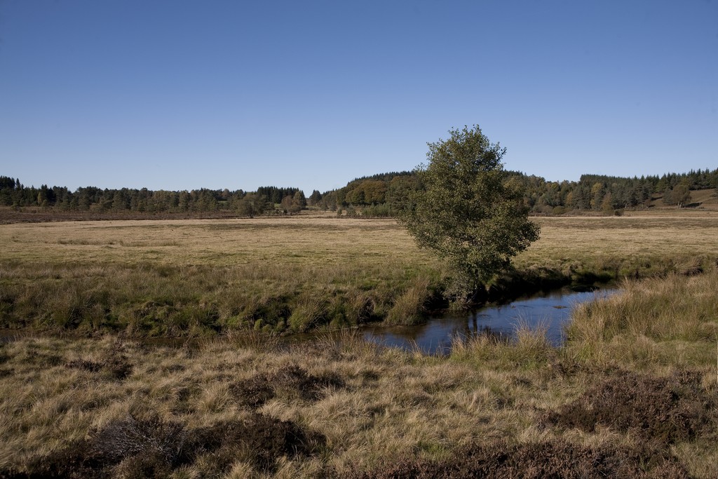 Circuit cyclo sportif  Bol d'Or des Monédières