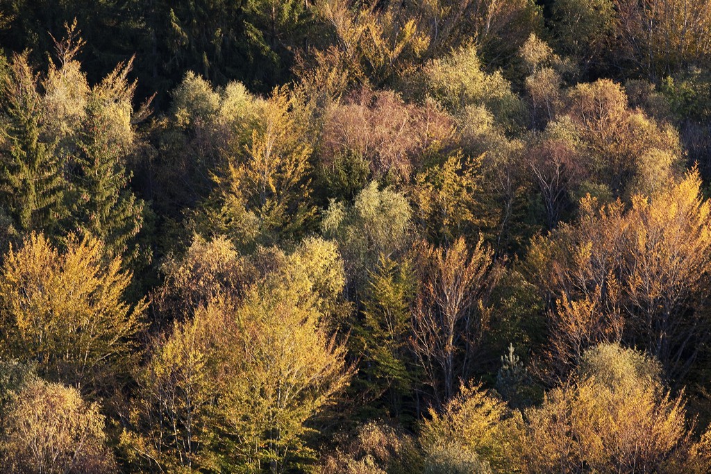 Circuit cyclo sportif  Bol d'Or des Monédières, Chaumeil - photo 2