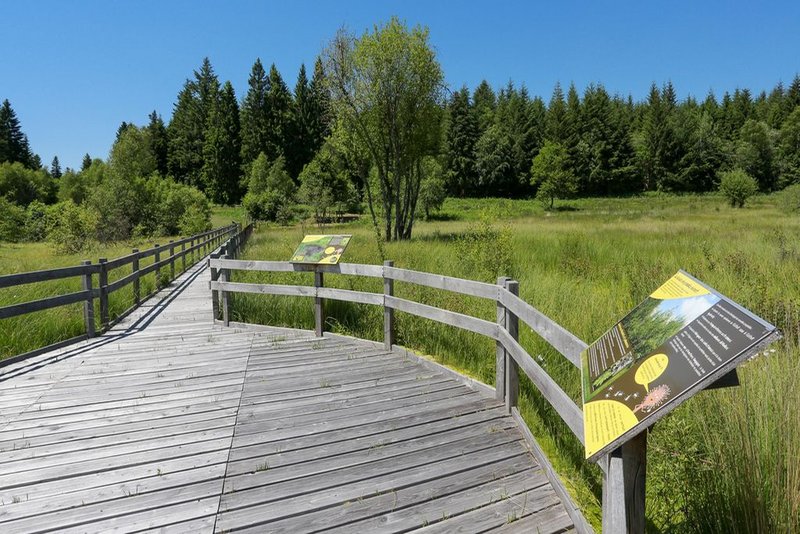 Le sentier de la tourbière du Col de la Blanche, Péret-Bel-Air