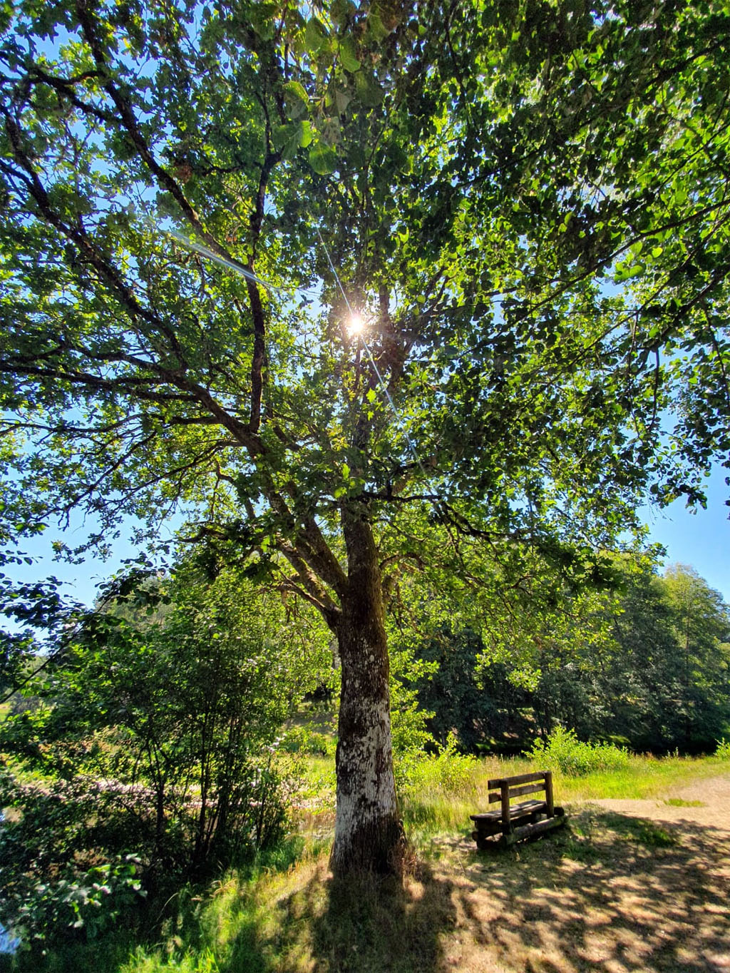 Domaine Eden lake, Égletons - photo 41