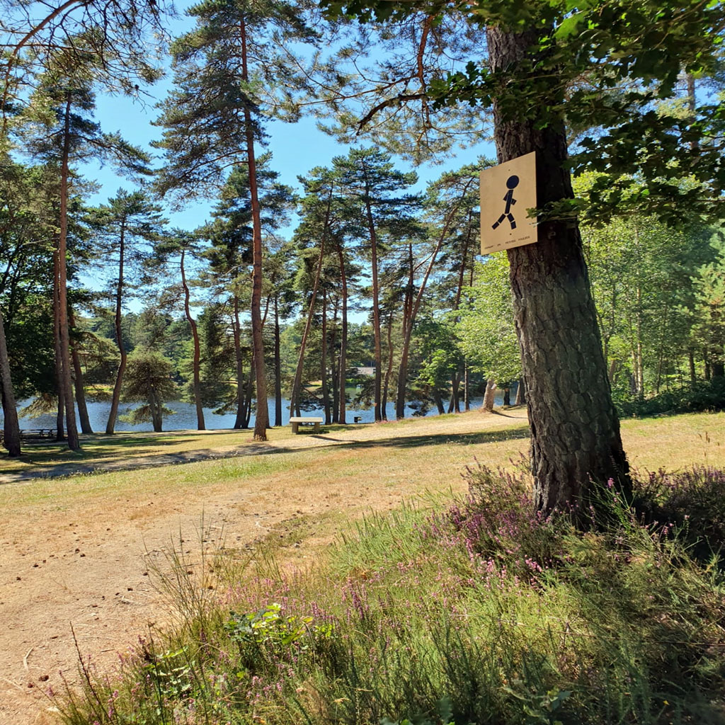 Domaine Eden lake, Égletons - photo 46