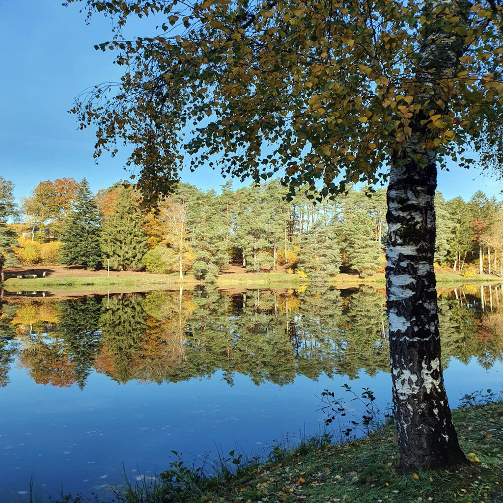 Domaine Eden lake, Égletons - photo 39