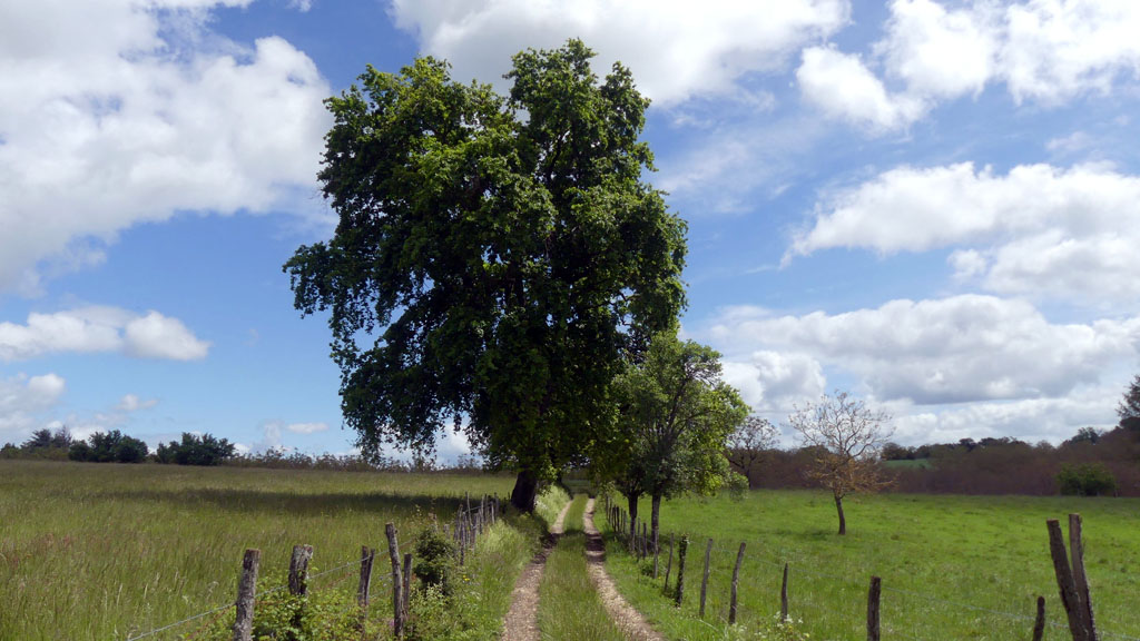 Du château au moulin, Bilhac - photo 6