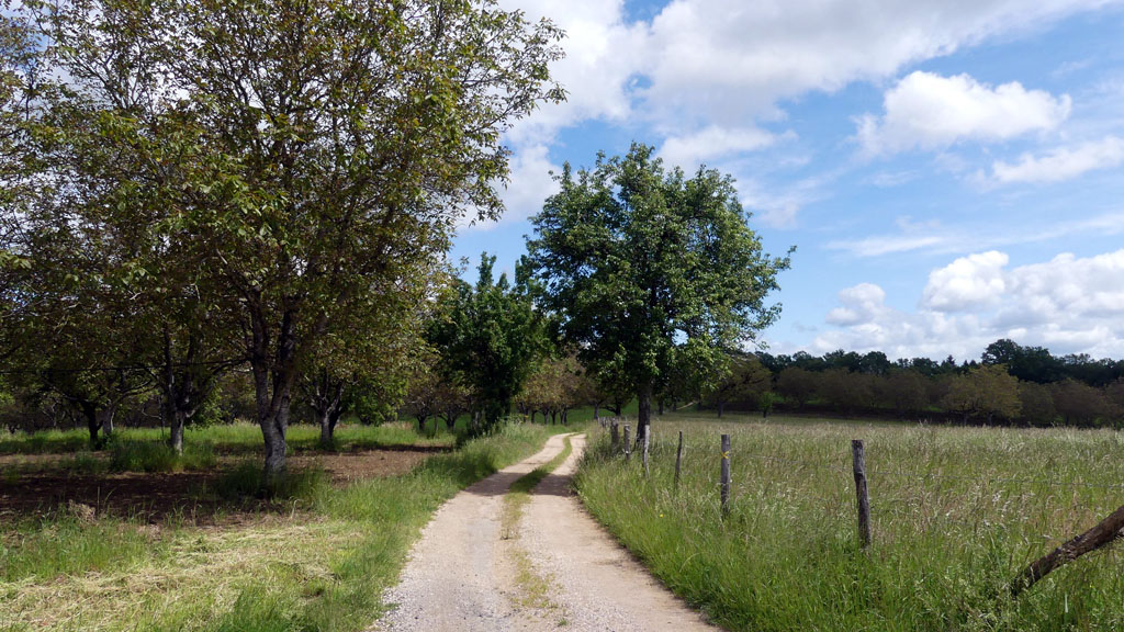 Du château au moulin, Bilhac - photo 7