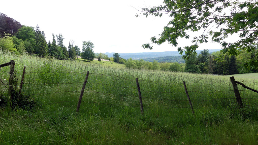 Le château du Doux, Altillac