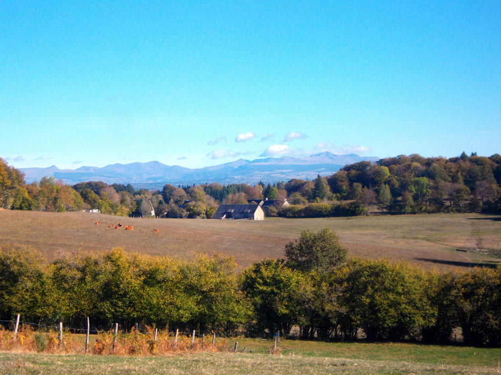 Le champ des oiseaux, Eygurande - photo 4