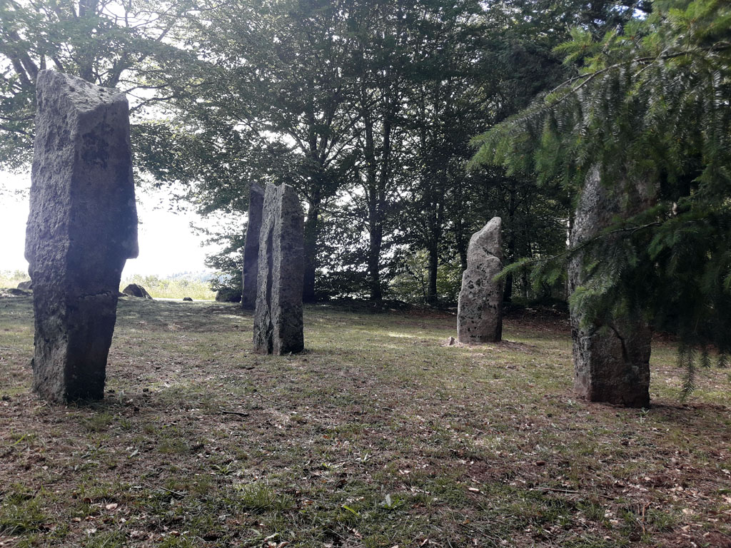 Chemin du sommet des Agriers, Lamazière-Haute - photo 4
