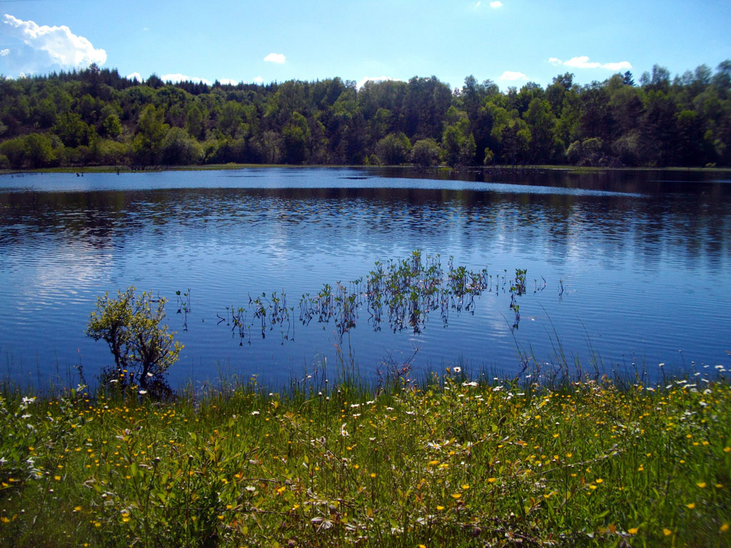 Chemin du sommet des Agriers, Lamazière-Haute - photo 5