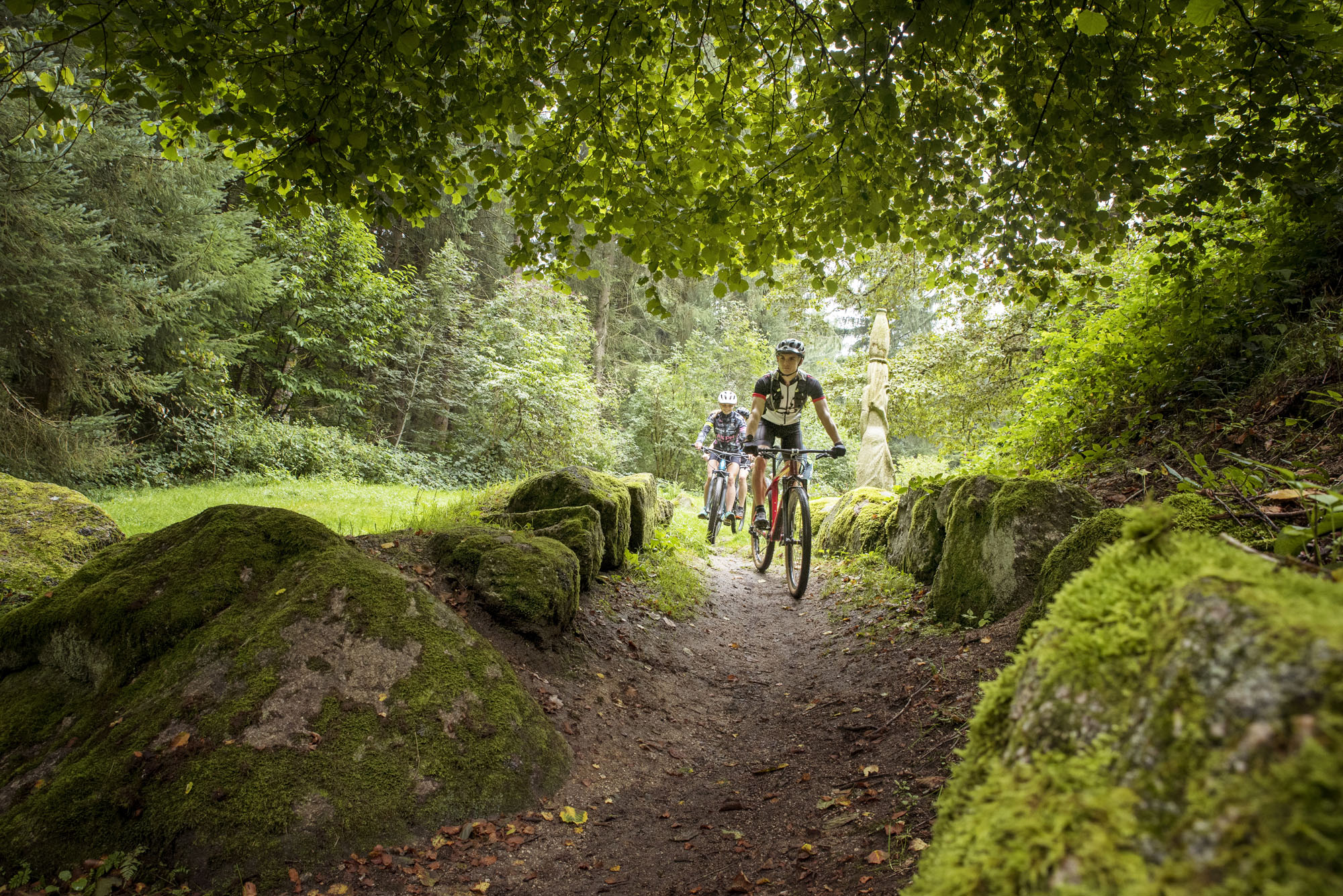 La Corrézienne VTT, Lissac-sur-Couze - photo 3