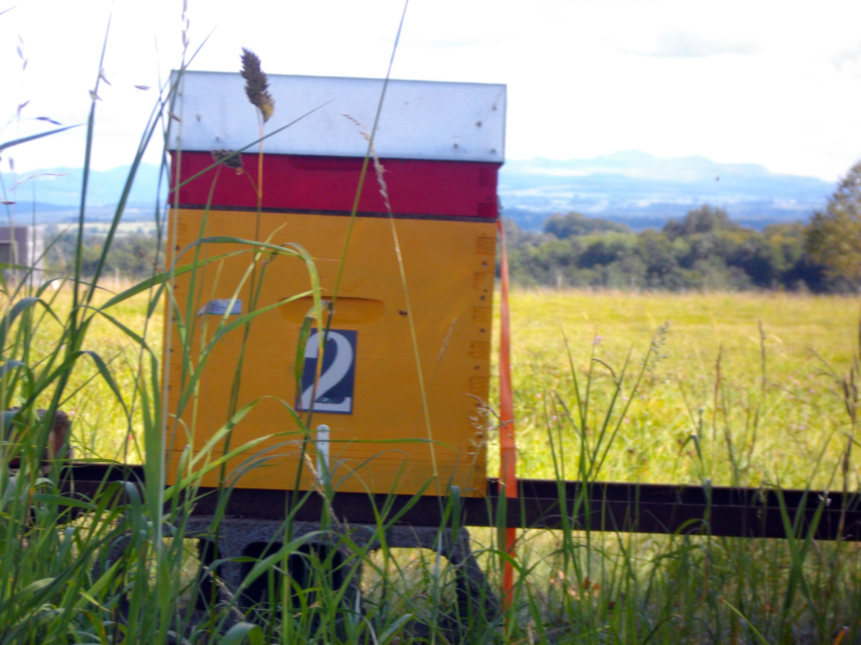 Le Pont Romain, Merlines - photo 5