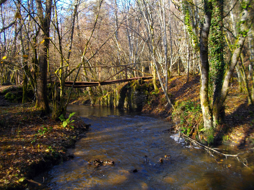 Au-delà de l’eau, Soursac - photo 4