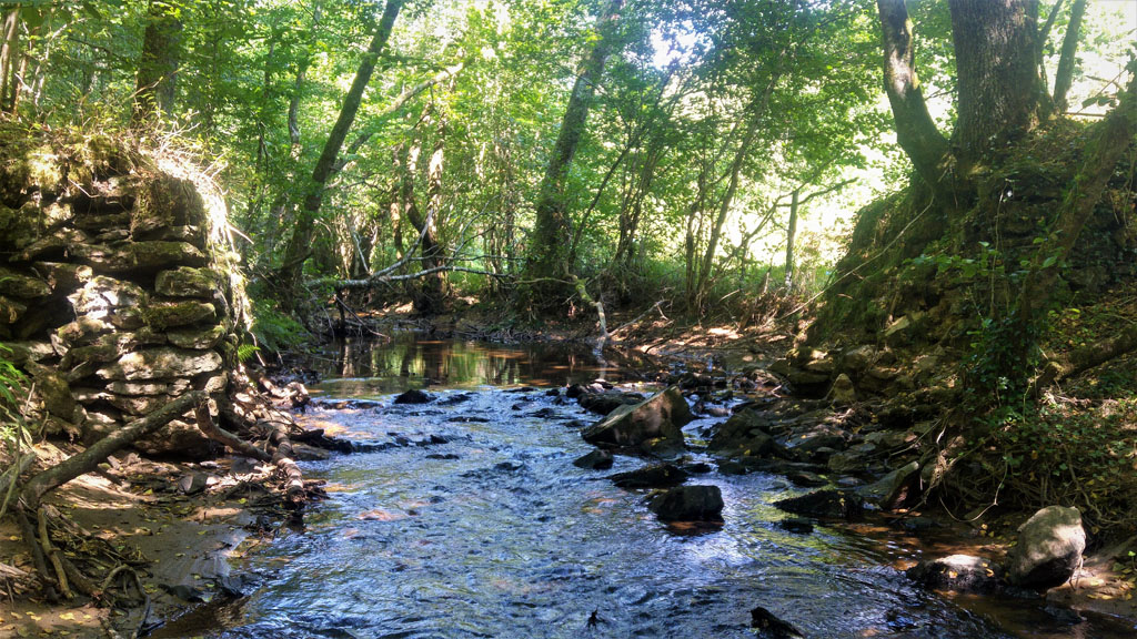 Au-delà de l’eau, Soursac - photo 5
