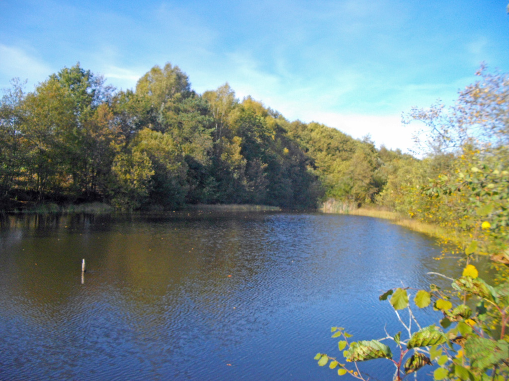 Au fil de la Sarsonne, Saint-Pardoux-le-Neuf - photo 3