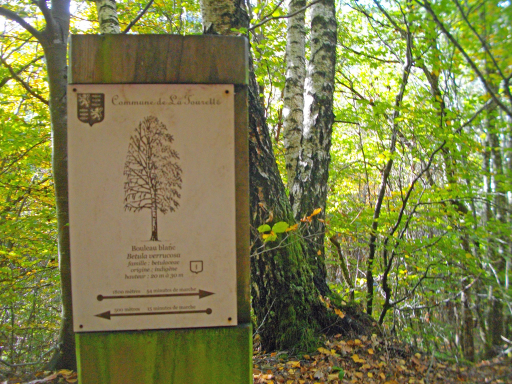 Au fil de la Sarsonne, Saint-Pardoux-le-Neuf - photo 6