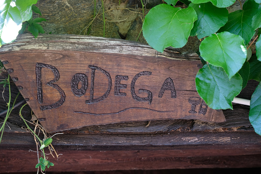 Le Domaine Vert, Troche - photo 9