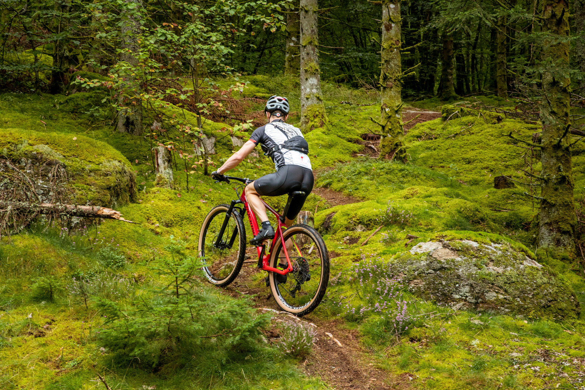 Base VTT Xaintrie Val'Dordogne - photo 2
