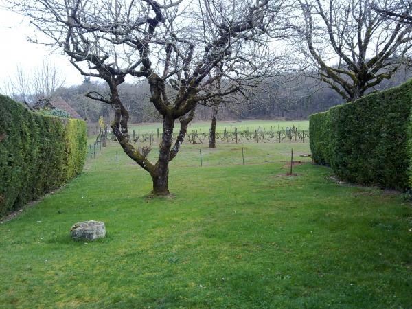 Meublé de Tourisme BREIL - photo 3