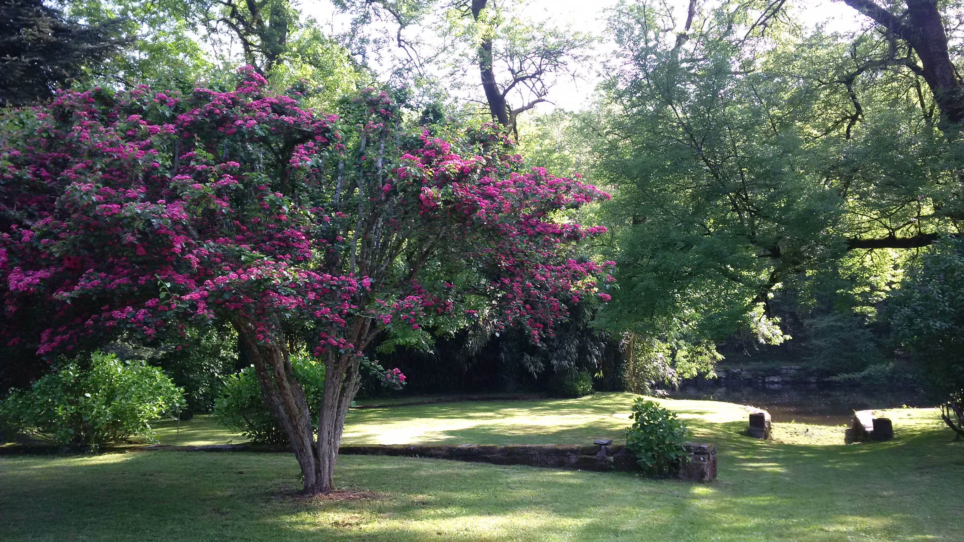 Location Clévacances MAUBEAU - photo 5