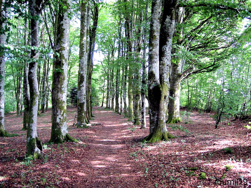 La Maison du Fermier - photo 4