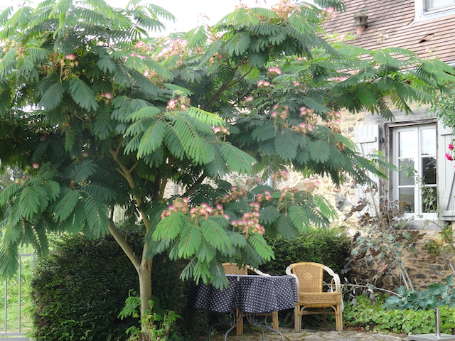 Villavacances Corrèze, Benayes - photo 6