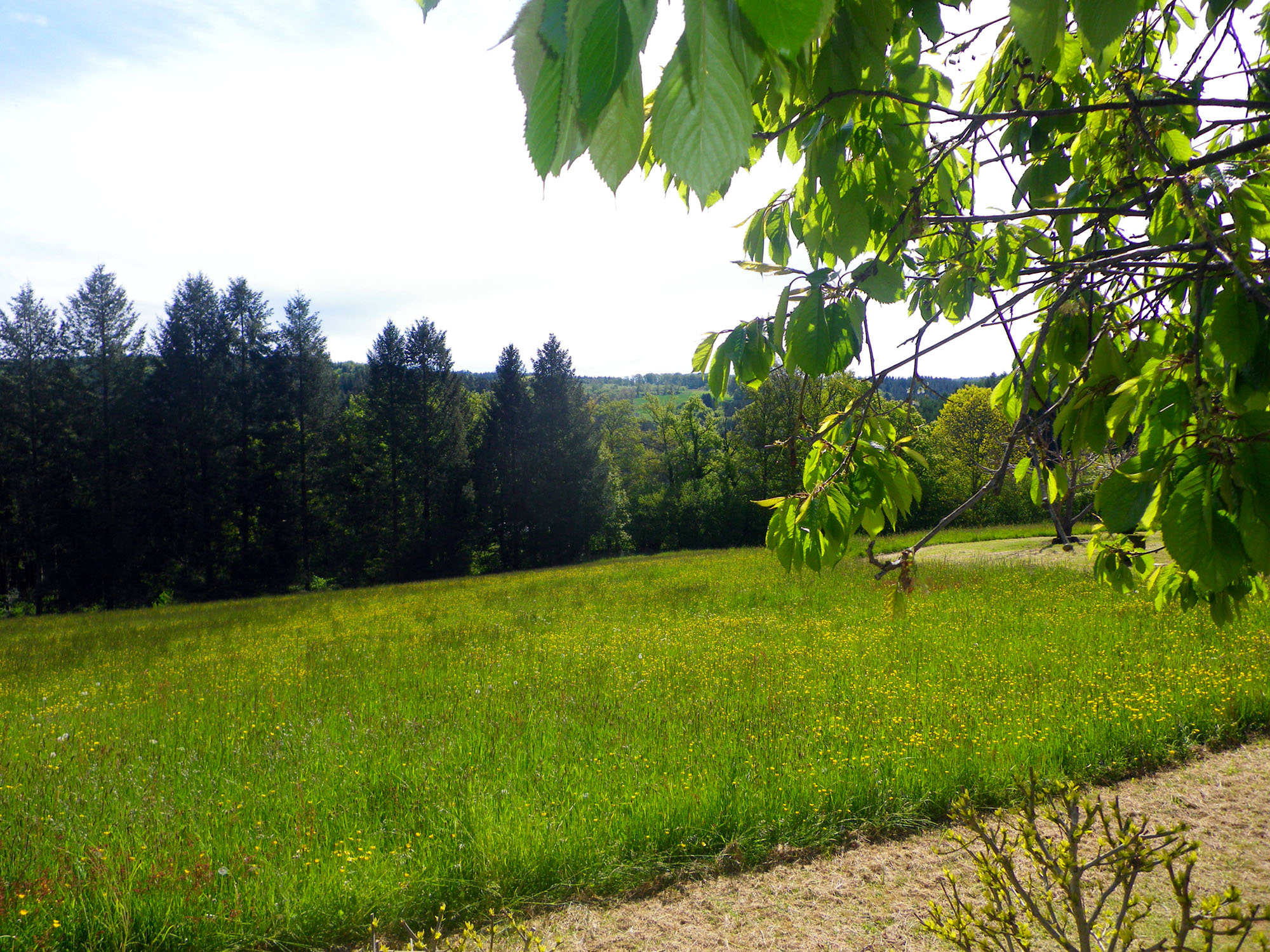 La Grange - Meublé de Tourisme CHASSAGNE, Champagnac-la-Noaille - photo 8