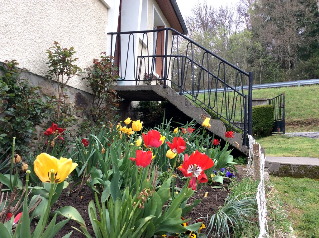 Le Grand Chaudergue, Ussel - photo 7