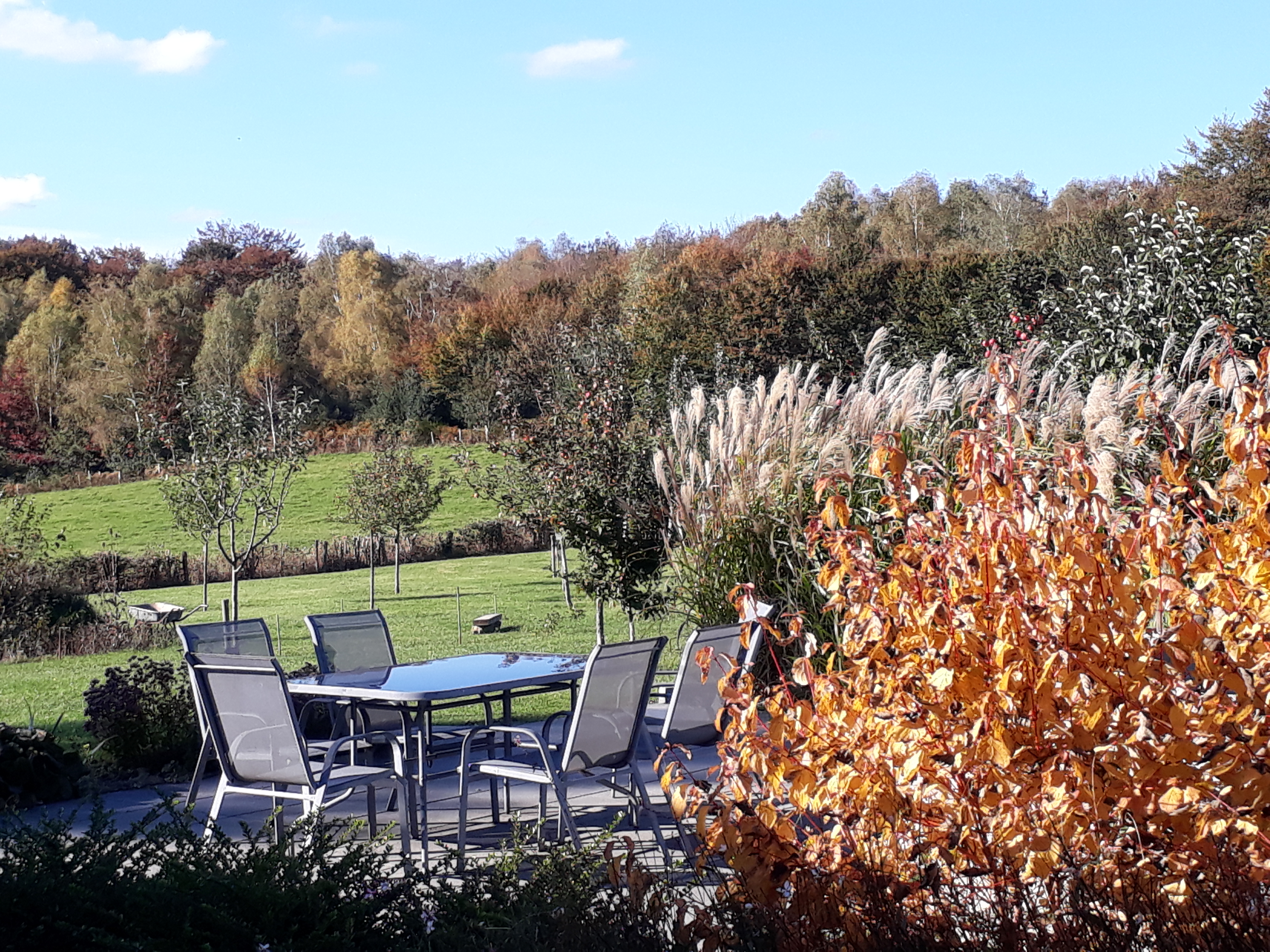 Colline d'Arsac, gîte, Saint-Fréjoux - photo 18