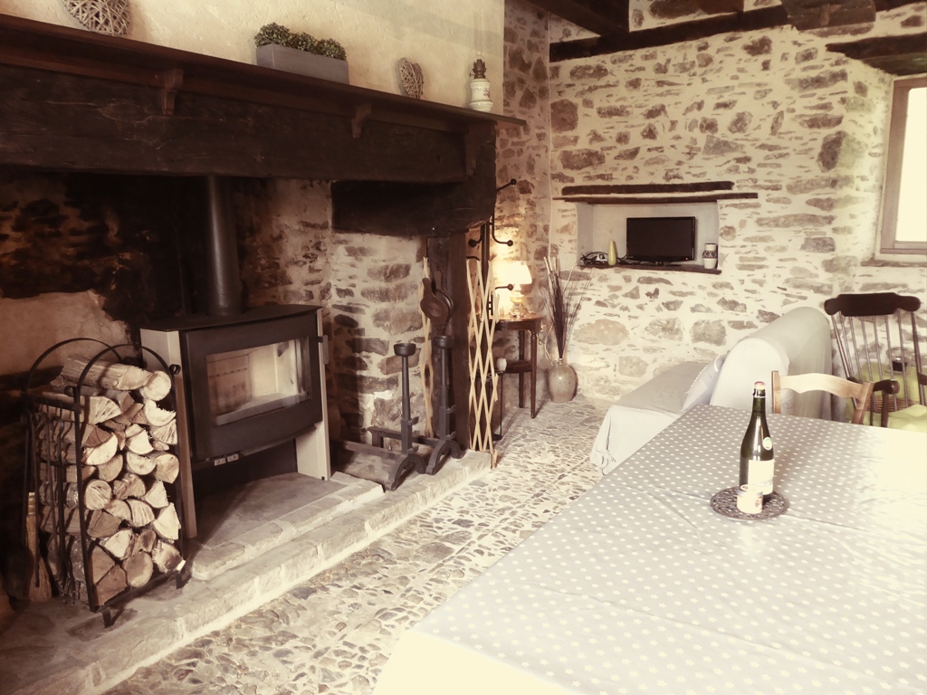 Meublé de tourisme Les Etourneaux - photo 4