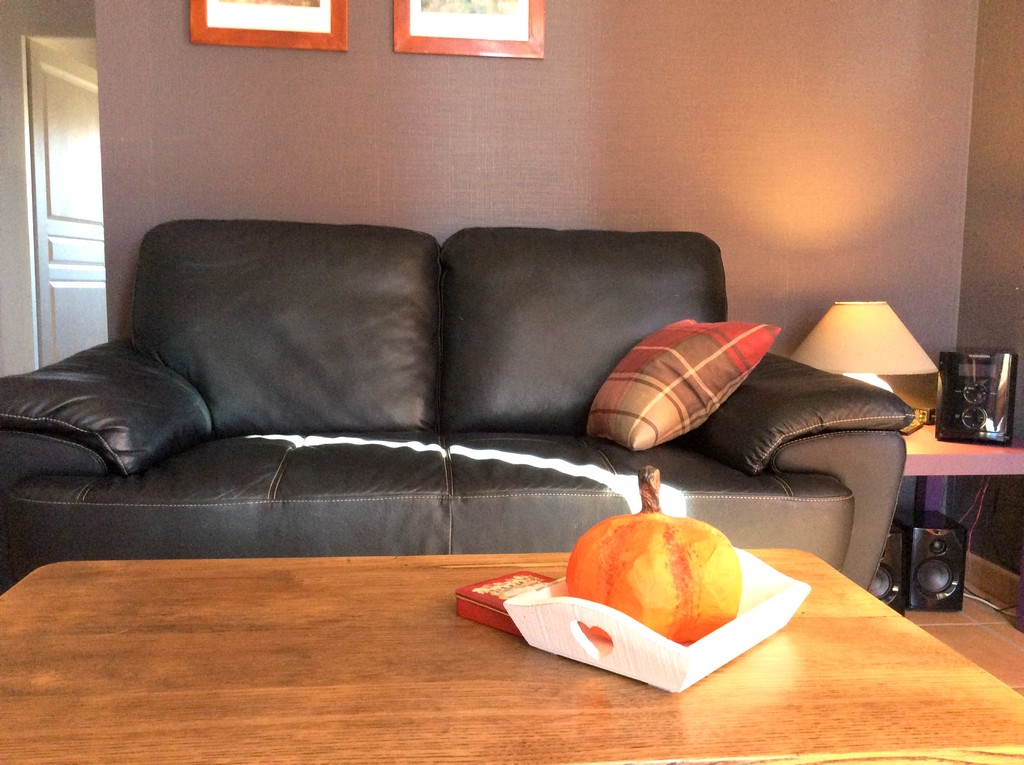 MILLE JOIES - Le Rouge Gorge, Saint-Ybard - photo 6