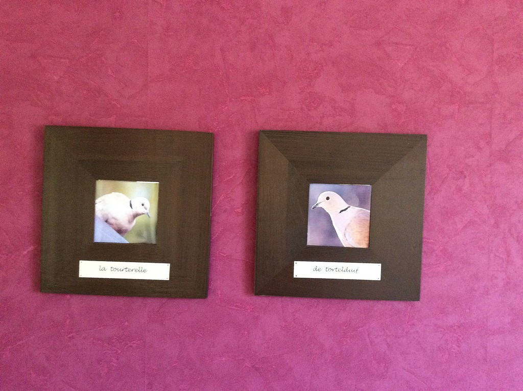 MILLE JOIES - La Tourterelle - photo 5