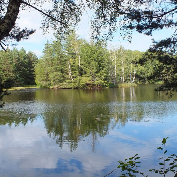 La Ganotte Grand Gîte - photo 2