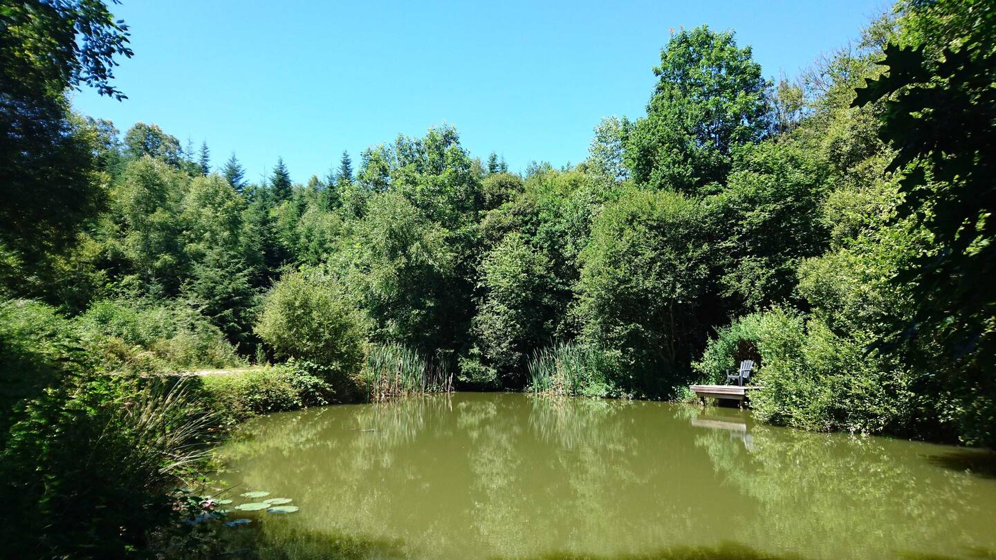 La petite maison de la sapinière, Pierrefitte - photo 6
