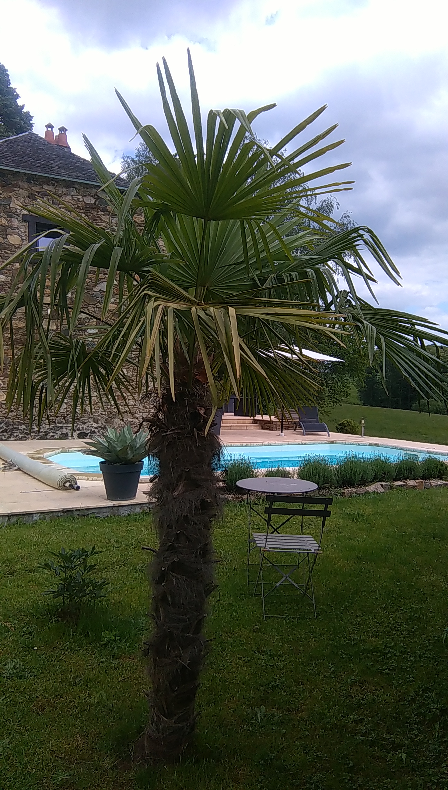 Meublé de Tourisme Gîte du Tilleul, Condat-sur-Ganaveix