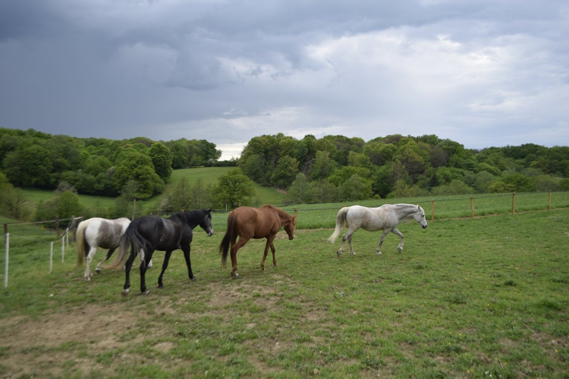Meublé de Tourisme le pré des Colombes, Troche - photo 10