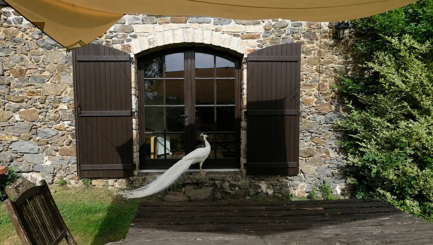 Meublé de Tourisme le domaine vert - photo 5