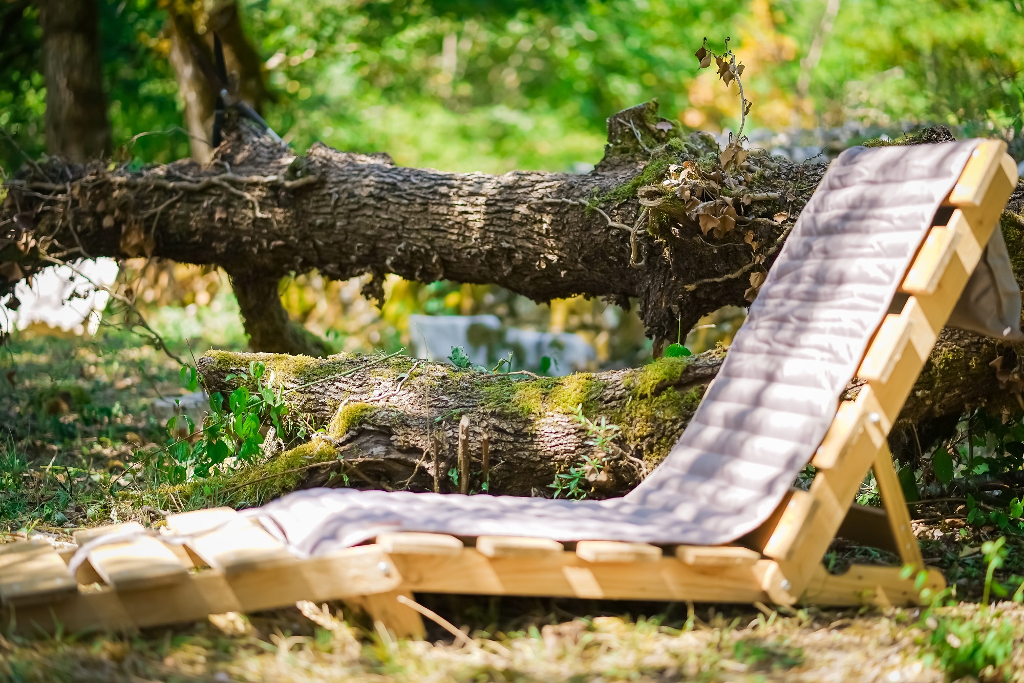Il était une fois au coeur de nos bois, Chartrier-Ferrière - photo 2