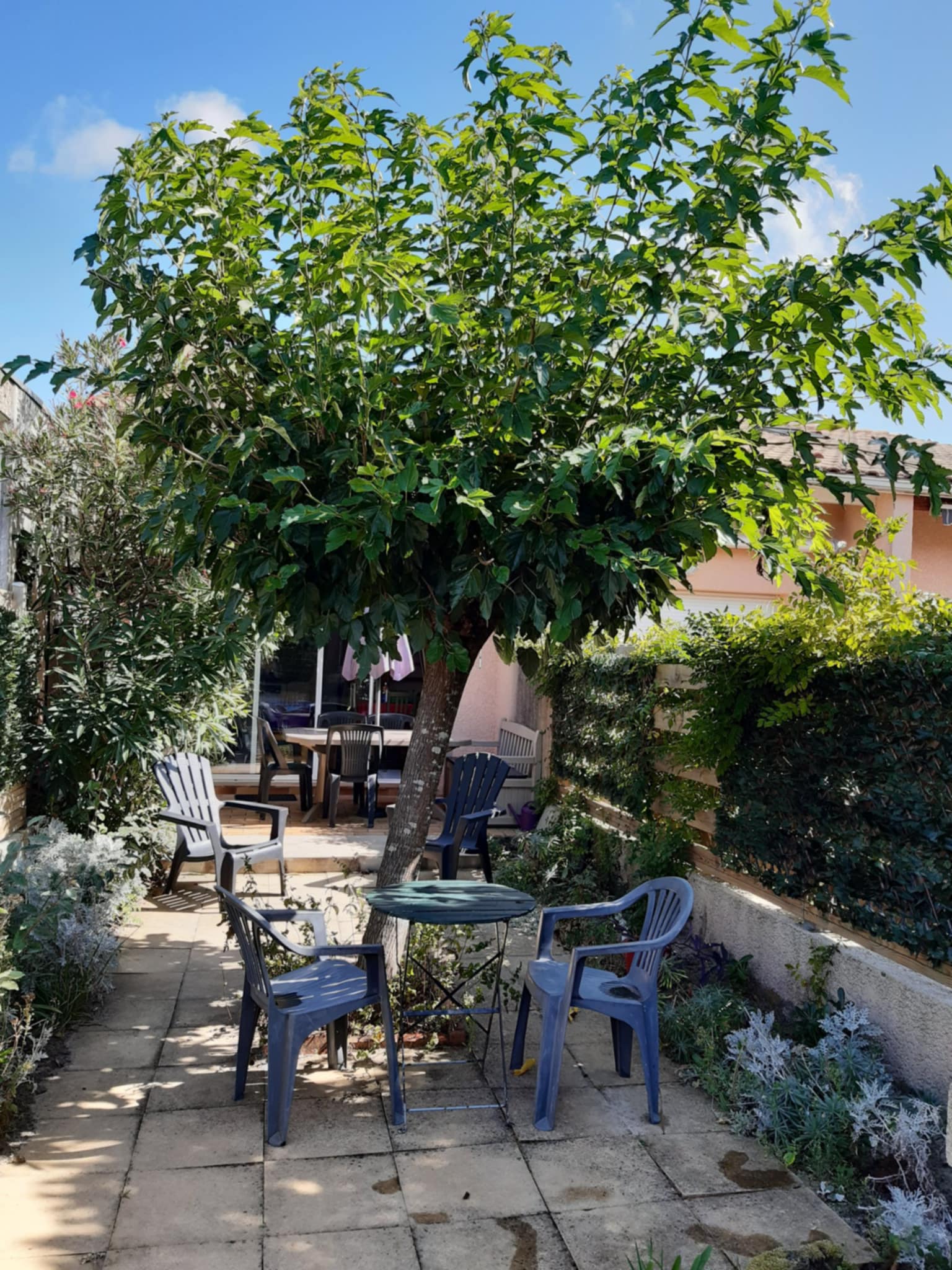Gîte trois étoiles pour des vacances familiales à la plage, Biscarrosse - photo 11