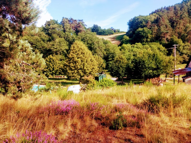 Aire Naturelle Le Moulin de Lacombe, Saint-Geniez-ô-Merle - photo 41